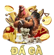 Biểu tượng quyền chỉnh sửa dữ liệu